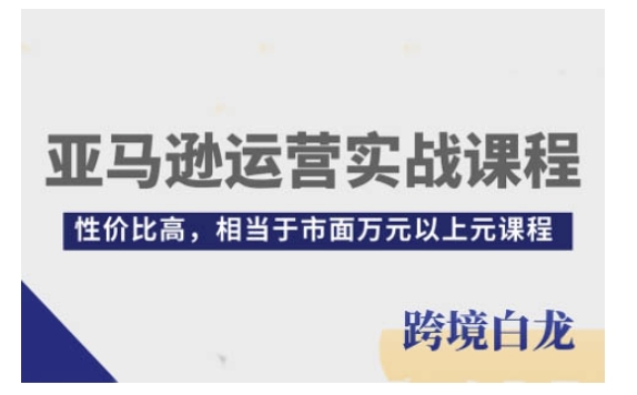 亚马逊运营实战课程，亚马逊从入门到精通，性价比高，相当于市面万元以上元课程-星禾网创星球