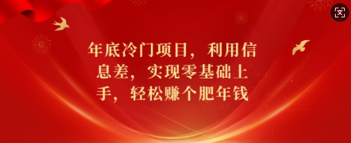 年底冷门项目，利用信息差，实现零基础上手，轻松赚个肥年钱【揭秘】-星禾网创星球