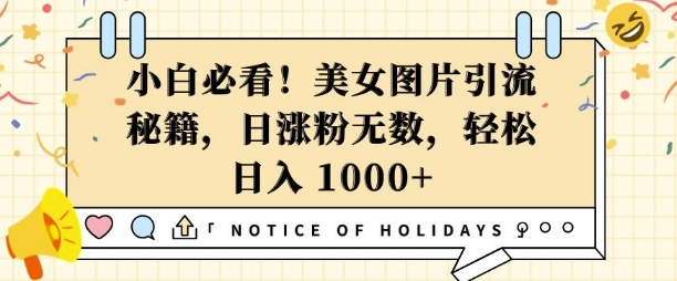 小白必看，美女图片引流秘籍，日涨粉无数，轻松日入几张【揭秘】-星禾网创星球