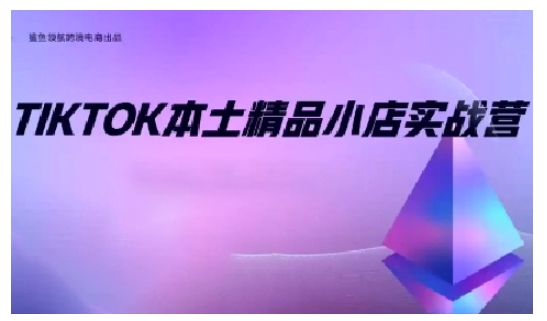 TikTok本土精品小店出海实战营，从入门到高阶，不止0-1!-星禾网创星球