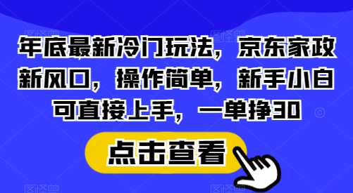 年底最新冷门玩法，京东家政新风口，操作简单，新手小白可直接上手，一单挣30【揭秘】-星禾网创星球