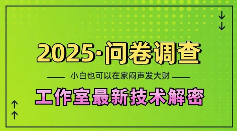 2025问卷调查最新工作室技术解密：一个人在家也可以闷声发大财，小白一天2张，可矩阵放大【揭秘】-星禾网创星球