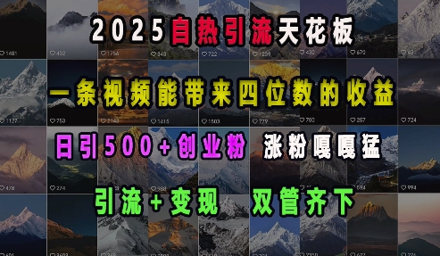 2025自热引流天花板，一条视频能带来四位数的收益，引流+变现双管齐下，日引500+创业粉，涨粉嘎嘎猛-星禾网创星球