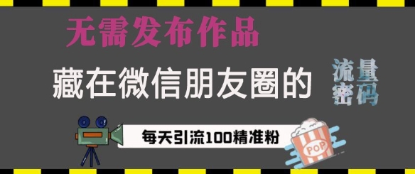 藏在微信朋友圈的流量密码，无需发布作品，单日引流100+精准创业粉【揭秘】-星禾网创星球