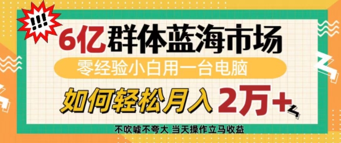6亿群体蓝海市场，零经验小白用一台电脑，如何轻松月入过w【揭秘】-星禾网创星球