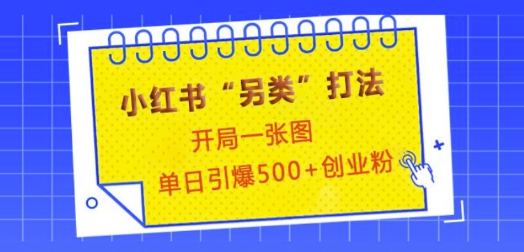 小红书“另类”打法，开局一张图，单日引爆500+精准创业粉【揭秘】-星禾网创星球