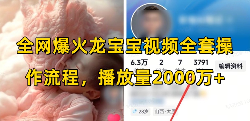 全网爆火龙宝宝视频全套操作流程，播放量2000万+-星禾网创星球
