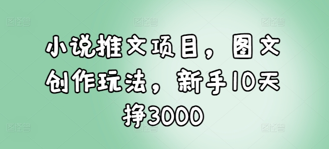 小说推文项目，图文创作玩法，新手10天挣3000-星禾网创星球