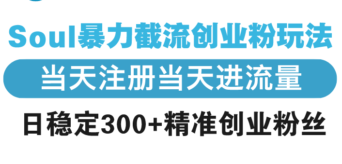Soul暴力截流创业粉玩法，当天注册当天进流量，日稳定300+精准创业粉丝-星禾网创星球