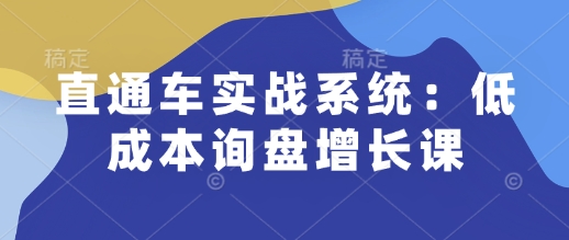 直通车实战系统：低成本询盘增长课，让个人通过技能实现升职加薪，让企业低成本获客，订单源源不断-星禾网创星球