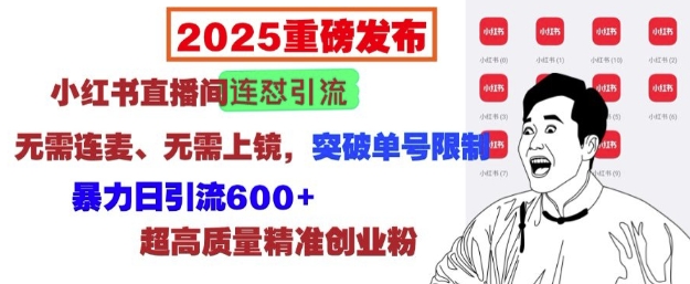 2025重磅发布：小红书直播间连怼引流，无需连麦、无需上镜，突破单号限制，暴力日引流600+-星禾网创星球