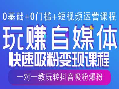 0基础+0门槛+短视频运营课程，玩赚自媒体快速吸粉变现课程，一对一教玩转抖音吸粉爆粉-星禾网创星球