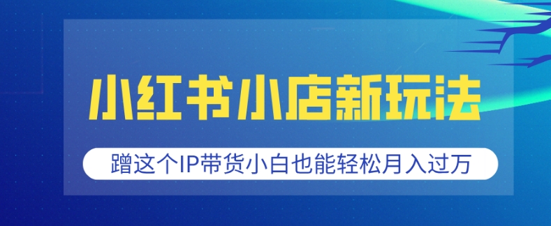 小红书小店新玩法，蹭这个IP带货，小白也能轻松月入过W【揭秘】-星禾网创星球