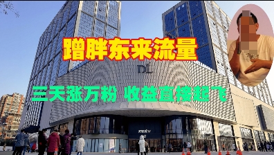 蹭胖东来流量，三天涨万粉，收益直接起飞-星禾网创星球
