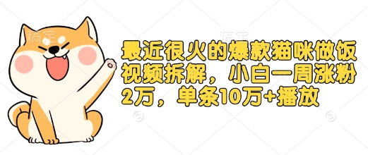 最近很火的爆款猫咪做饭视频拆解，小白一周涨粉2万，单条10万+播放(附保姆级教程)-星禾网创星球