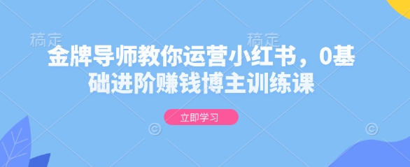 金牌导师教你运营小红书，0基础进阶赚钱博主训练课-星禾网创星球