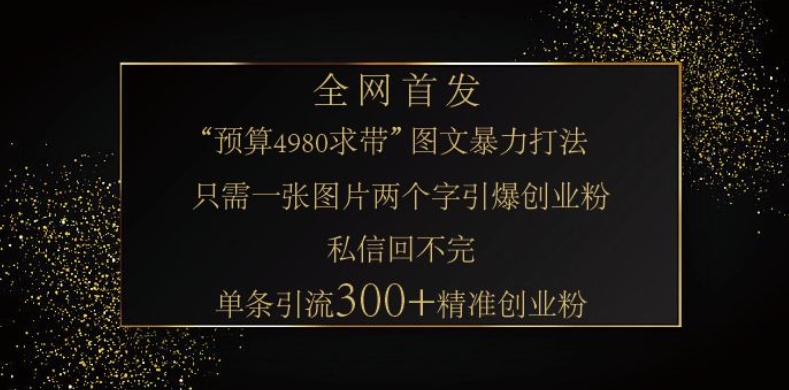 小红书神奇图片引流法，只需一张图，就能单条笔记凭借此方法，轻松引流 300 + 精准创业粉-星禾网创星球