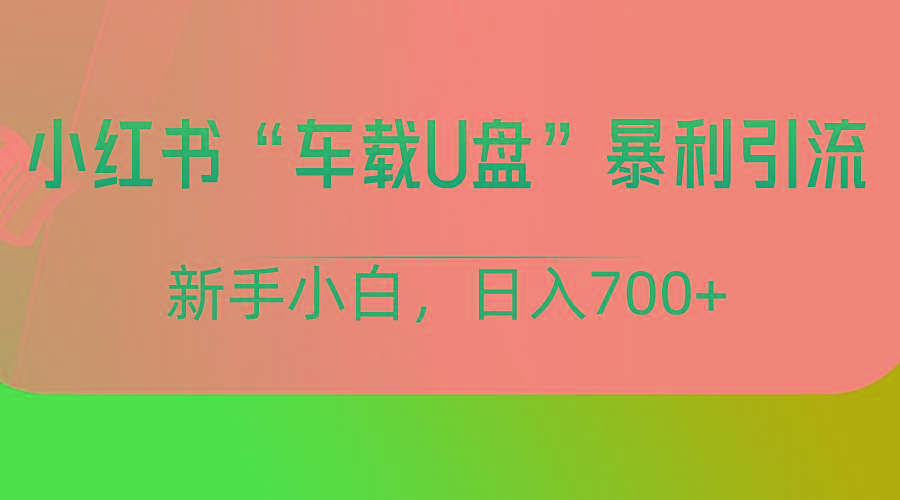 小红书“车载U盘”项目，暴利引流，新手小白轻松日入700+-星禾网创星球