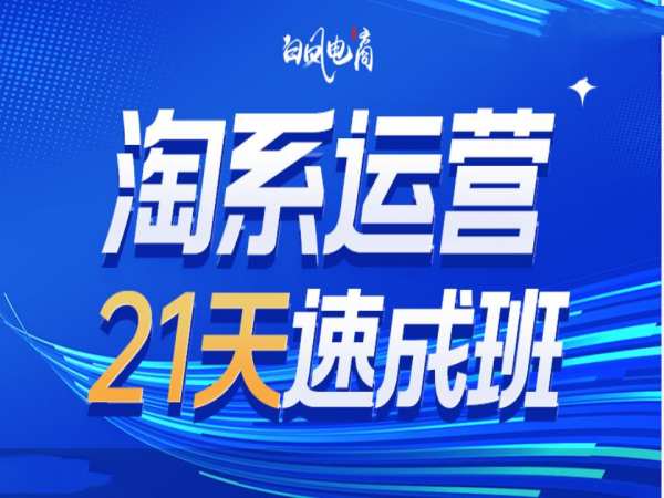 淘系运营21天速成班35期，年前最后一波和2025方向-星禾网创星球