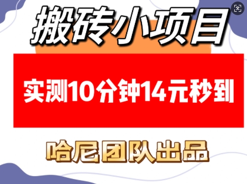 搬砖小项目，实测10分钟14元秒到，每天稳定几张(赠送必看稳定)-星禾网创星球