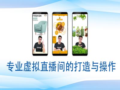 个人虚拟直播间的搭建与操作，专业虚拟直播间的打造与操作-星禾网创星球