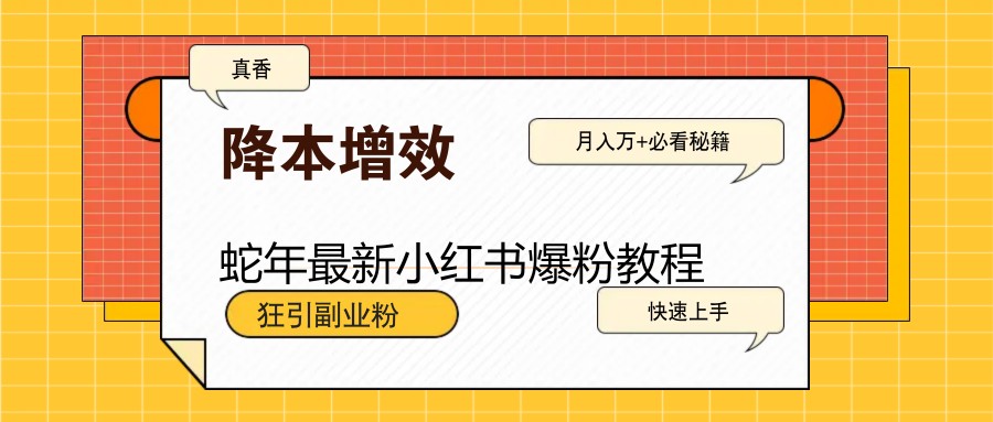 蛇年最新小红书爆粉教程，狂引副业粉，月入万+必看-星禾网创星球