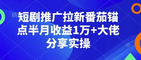短剧推广拉新番茄锚点半月收益1万+大佬分享实操-星禾网创星球