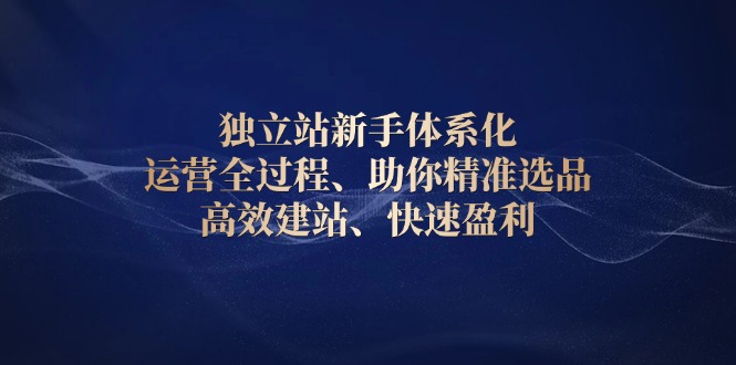 独立站新手体系化 运营全过程，助你精准选品、高效建站、快速盈利-星禾网创星球