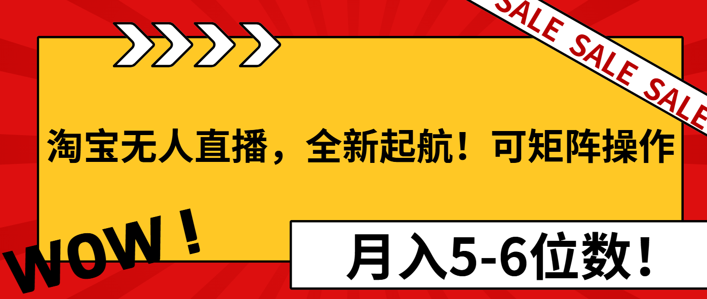 淘宝无人直播，全新起航！可矩阵操作，月入5-6位数！-星禾网创星球