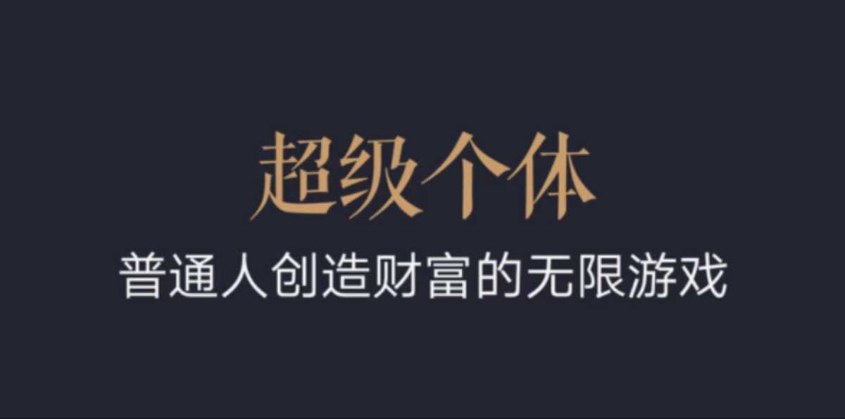 超级个体：2024-2025翻盘指南，普通人创造财富的无限游戏-星禾网创星球