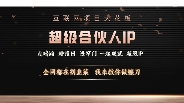 互联网项目天花板，超级合伙人IP，全网都在割韭菜，我来教你做镰刀【仅揭秘】-星禾网创星球