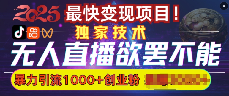 欲罢不能的无人直播引流，超暴力日引流1000+高质量精准创业粉-星禾网创星球
