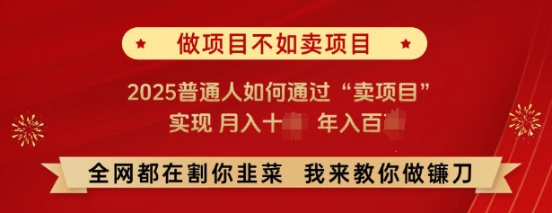 必看，做项目不如卖项目，2025普通人如何通过“卖项目”实现月入十个，年入百个-星禾网创星球