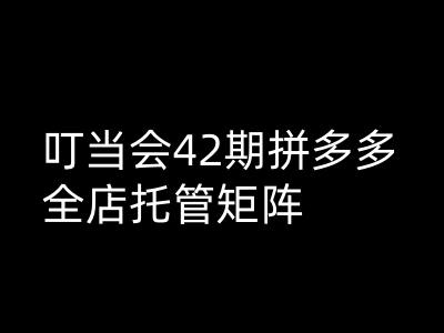 叮当会拼多多打爆班原创高阶技术第42期，拼多多全店托管矩阵-星禾网创星球
