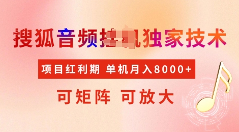 全网首发搜狐音频挂JI独家技术，项目红利期，可矩阵可放大，稳定月入8k【揭秘】-星禾网创星球
