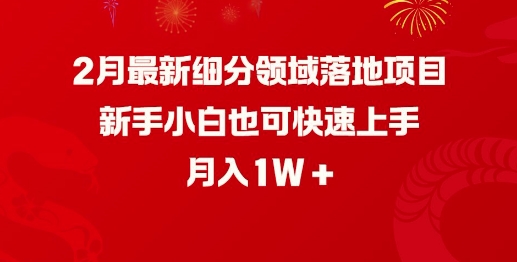 2月最新细分领域落地项目，新手小白也可快速上手，月入1W-星禾网创星球