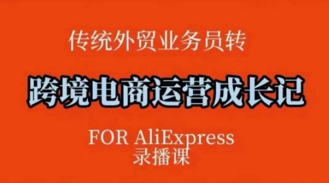 跨境电商速卖通运营课，​运营方法论+后台实操，逻辑清晰-星禾网创星球
