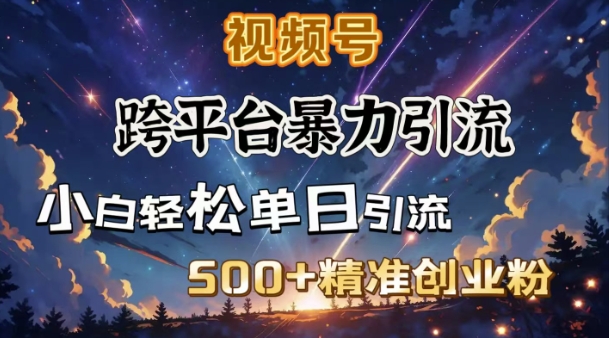 跨平台暴力引流，私域完美闭环，日引500+精准创业粉-星禾网创星球