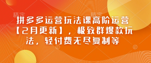 拼多多运营玩法课高阶运营【2月更新】，极致群爆款玩法，轻付费无尽复制等-星禾网创星球