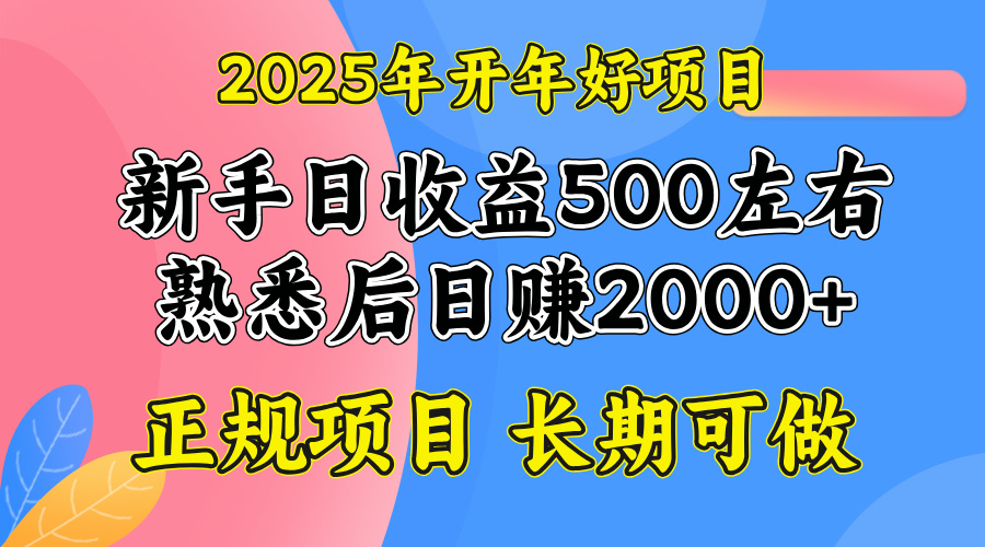 2025开年好项目，单号日收益2000左右-星禾网创星球