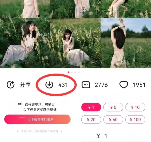 最新图虫搬运项目，收益无上限，利用AI小白也可日赚500+-星禾网创星球