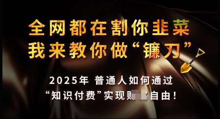 知识付费如何做到月入过W+，2025我来教你做“镰刀”【揭秘】-星禾网创星球
