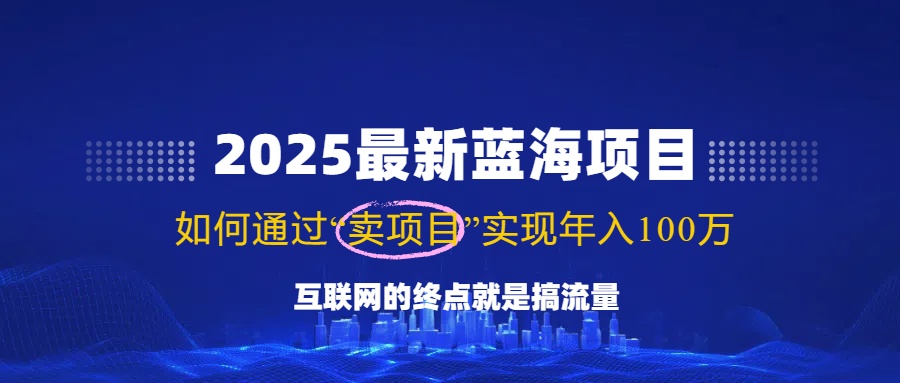 2025最新蓝海项目，零门槛轻松复制，月入10万+，新手也能操作！-星禾网创星球