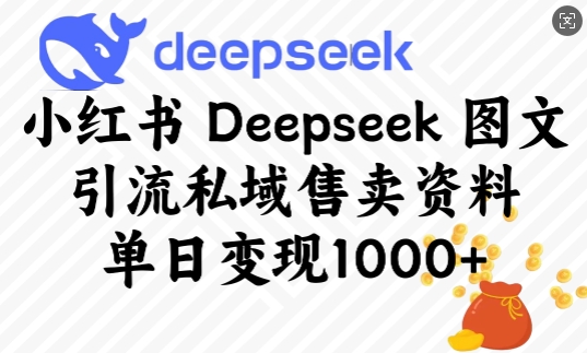 小红书Deepseek图文引流私域售卖资料，单日变现多张-星禾网创星球