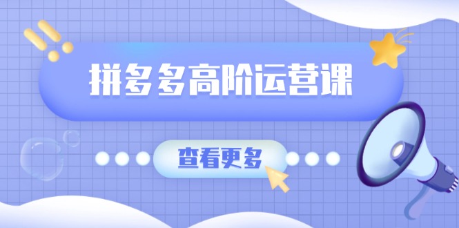 拼多多高阶运营课：极致群爆款玩法，轻付费无尽复制，打造单品爆款之路-星禾网创星球