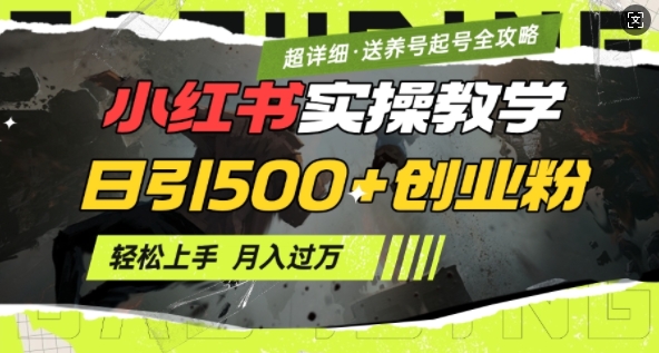 2月小红书最新日引500+创业粉实操教学【超详细】小白轻松上手，月入1W+，附小红书养号起号SOP-星禾网创星球