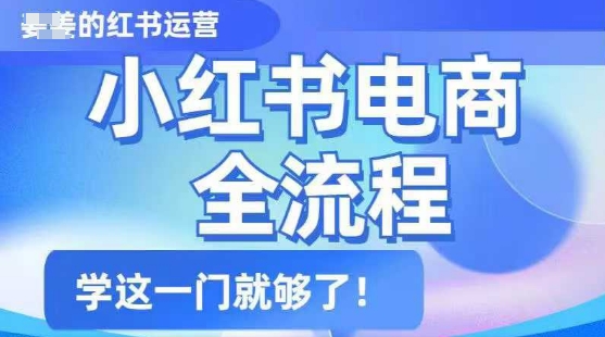 小红书电商全流程，精简易懂，从入门到精通，学这一门就够了-星禾网创星球