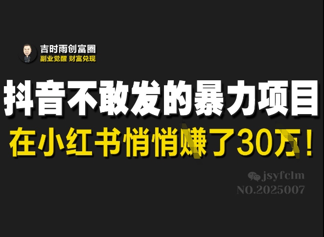 抖音不敢发的暴利项目，在小红书悄悄挣了30W-星禾网创星球