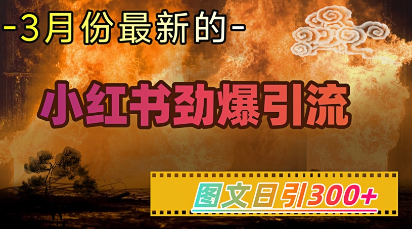 小红书超劲爆引流手段，图文日引300+轻松变现1W-星禾网创星球