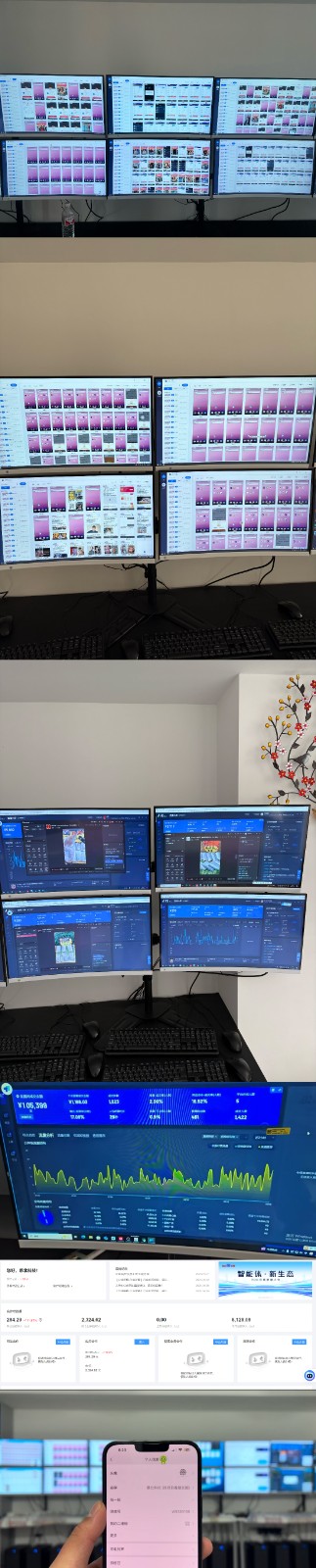 实操项目合集 挂机类型 直播类型 轻资产创业类型 课程分享各项目介绍和原理-星禾网创星球